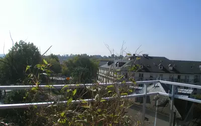 Versailles (78000) - Deux  Terrasses