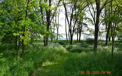 Château-Landon