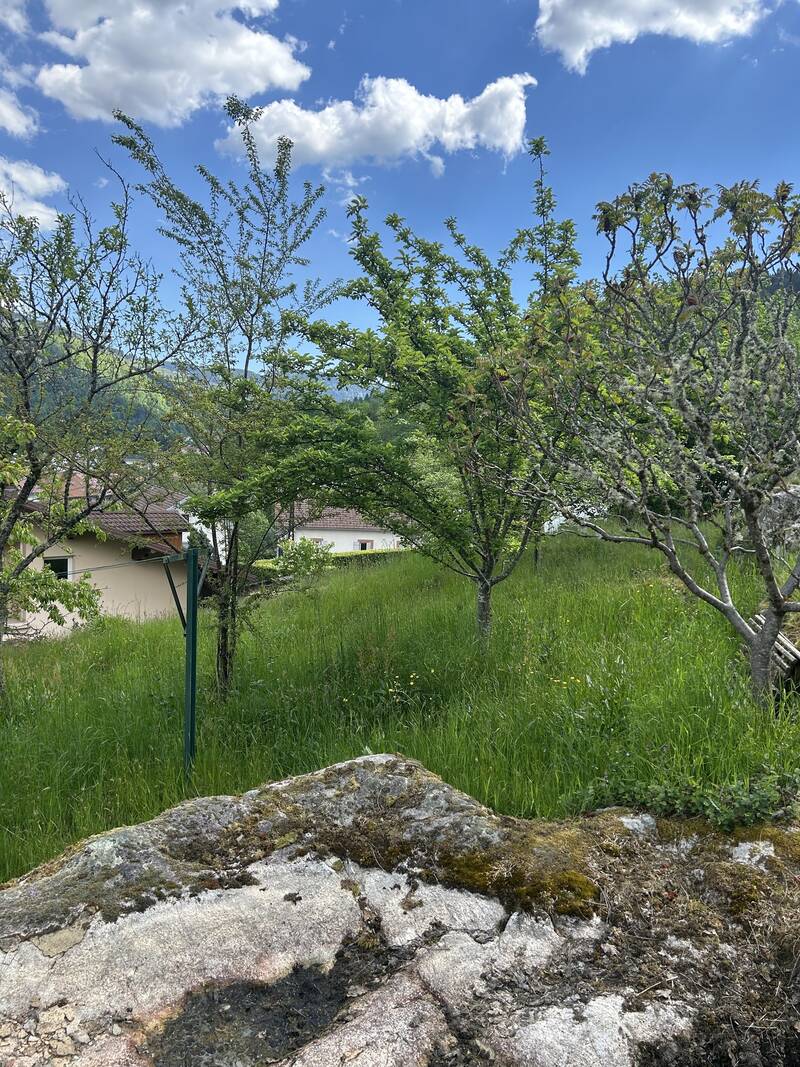Cornimont (88310)