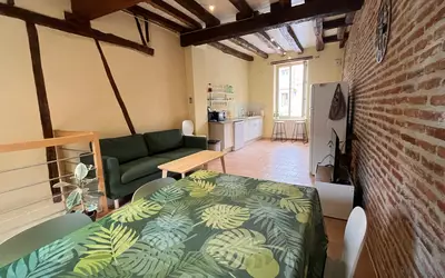 Gaillac (81600)
