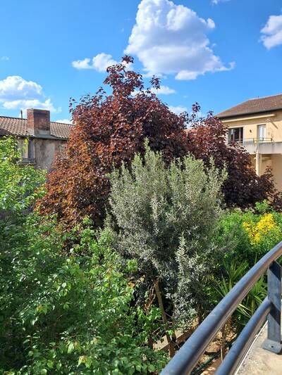 Vente appartement 3 pièces Vienne (38200)