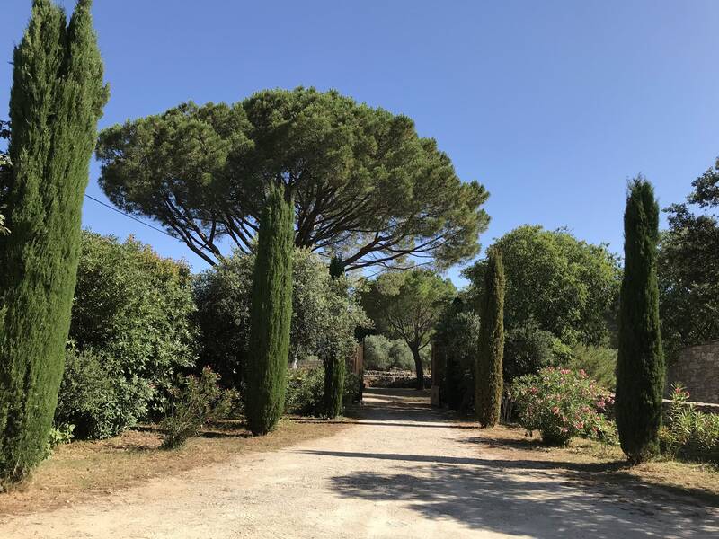 Nîmes (30000)