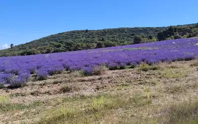 Montagnac-Montpezat (04500)