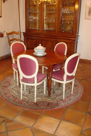 Aigues-Mortes (30220)