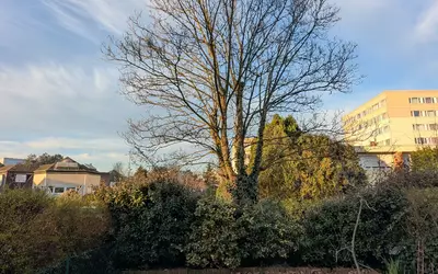 Cergy (95000)