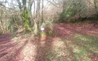 Trémargat (22110)