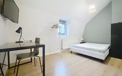 Lille (59000)