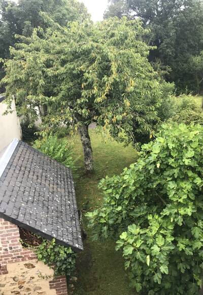 Vente maison 5 pièces Arrou (28290)