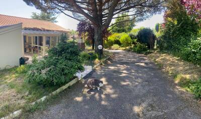 Vente maison 5 pièces Dardilly (69570)