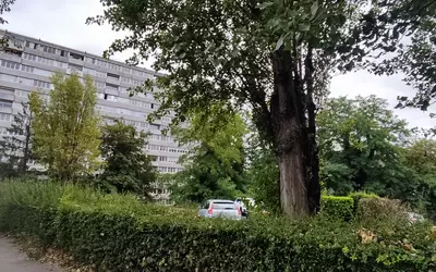 Maisons-Alfort (94700)