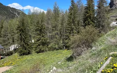 Vars (05560)