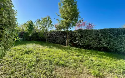 Franconville (95130)