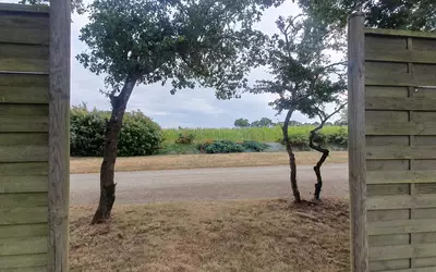 Terrain 903 m² · à Saint-Père-en-Retz · 903 m² · 70 000 €