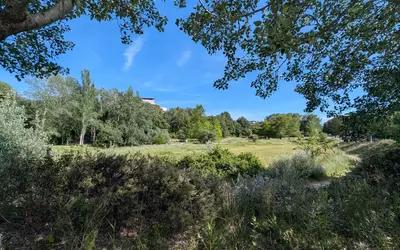 Montpellier (34000)