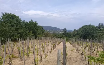 Saint-Péray (07130)