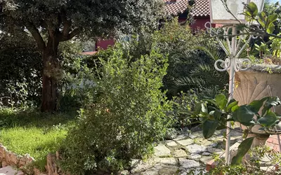 Grasse (06130)