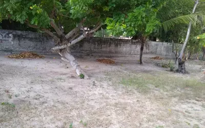 Brésil