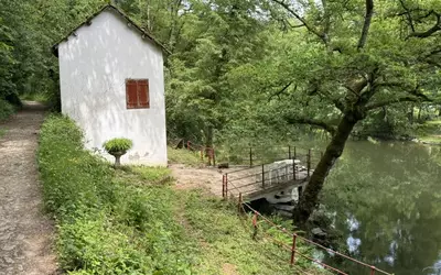 Mirandol-Bourgnounac (81190)