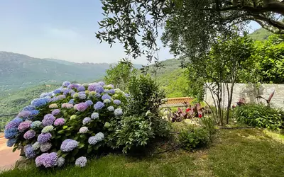 Sartène (20100)