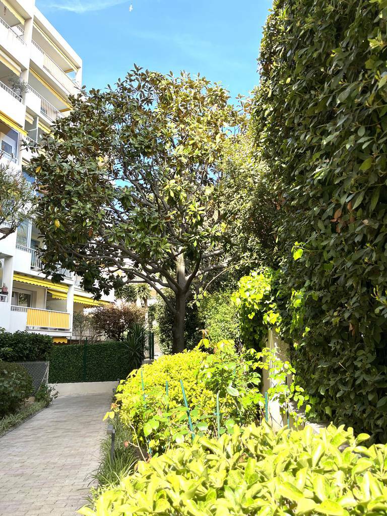 Cannes (06400)