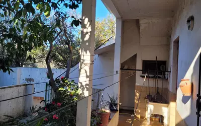 Perpignan (66000)