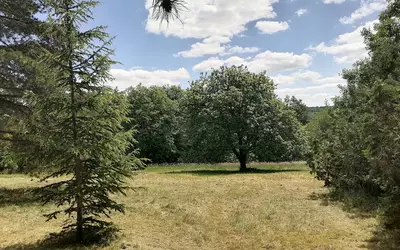 Rembercourt-Sur-Mad (54470)
