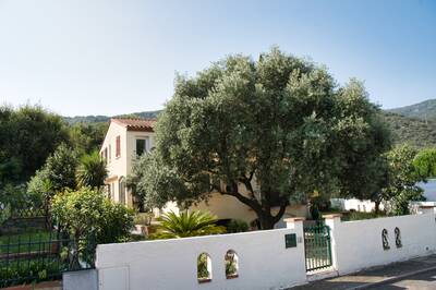 Vente maison 6 pièces Céret (66400)