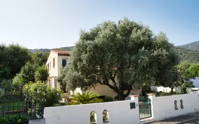 Céret