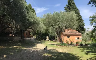 Grasse (06130)