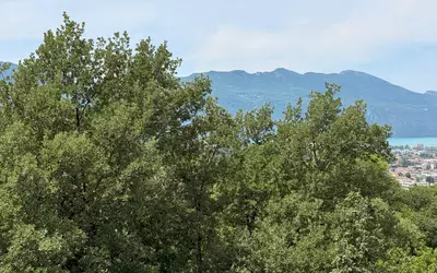 Aix-Les-Bains (73100)