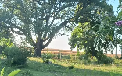 Villedômain (37460)