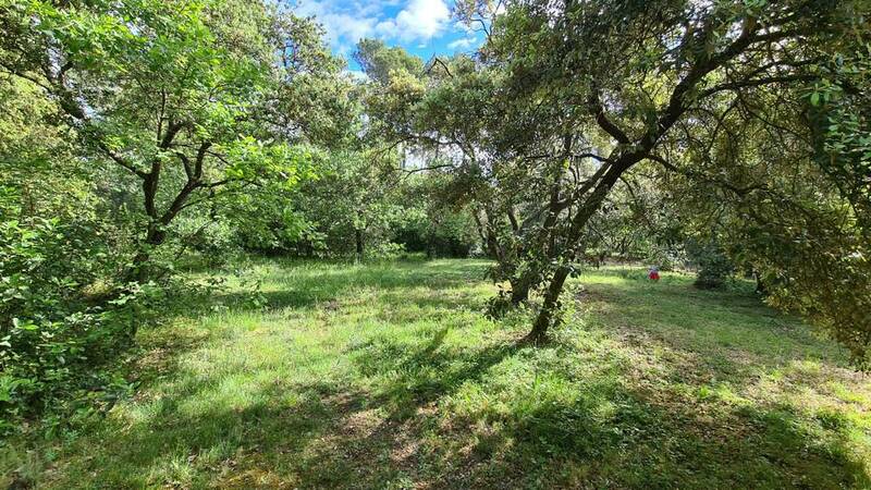 Montferrier-Sur-Lez (34980)
