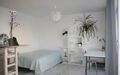 Cergy (95000)