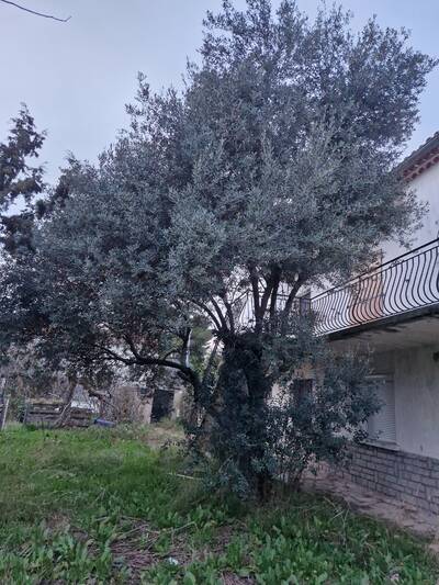 Location maison 2 pièces Nîmes (30)