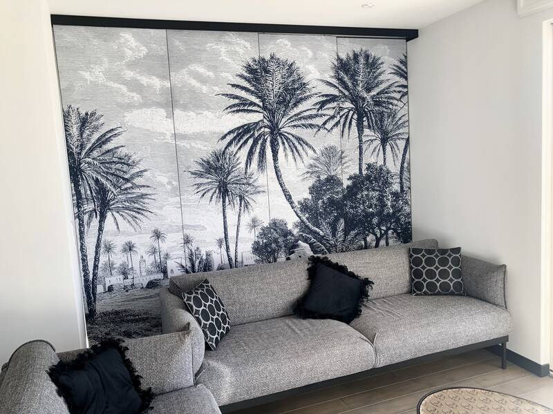Cannes + Toit Terasse 49 M²