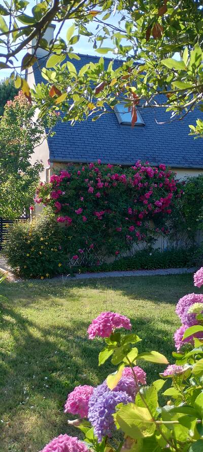 Vente maison 5 pièces Larmor-Baden (56870)