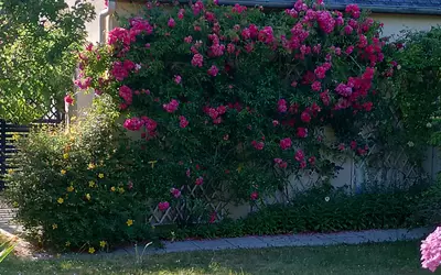 Larmor-Baden (56870)