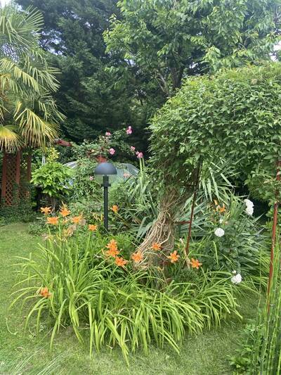 Vente maison 4 pièces Bougival (78380)