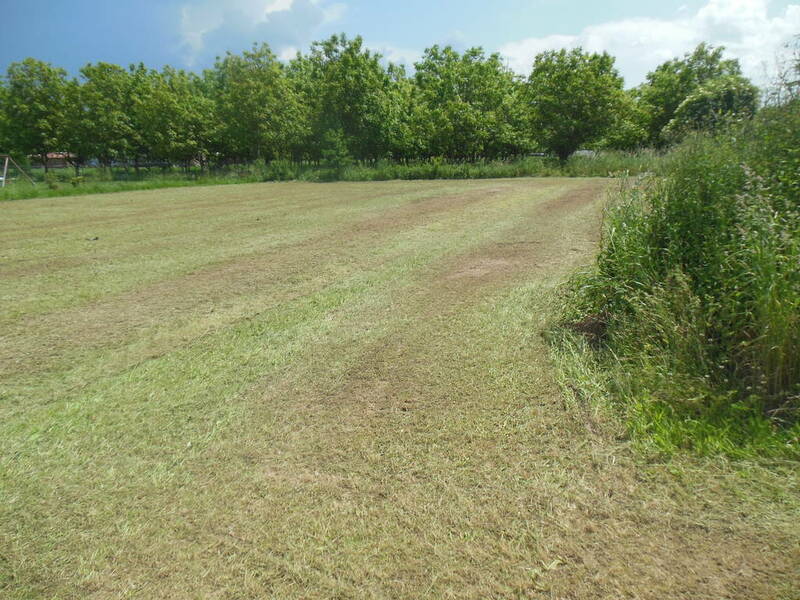 Tauriac (46130)