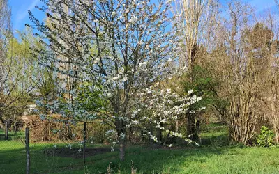 Bellechaume (89210)