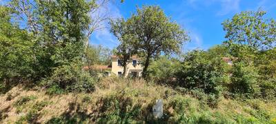 Location maison 6 pièces Feurs (42110)
