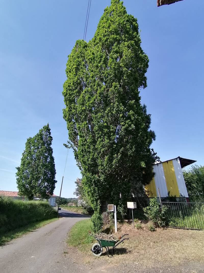 Eugénie-Les-Bains (40320)