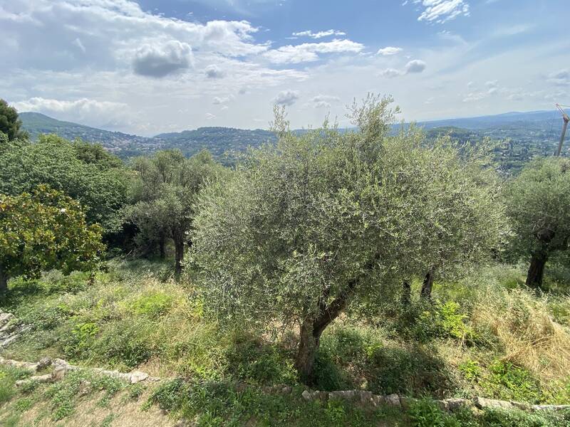 Grasse (06130)