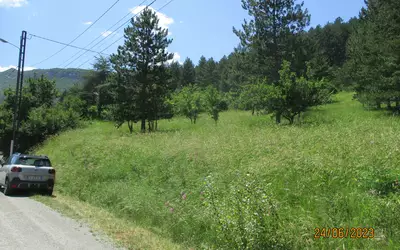 Serres (05700)