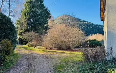 Saint-Dié-Des-Vosges (88100)