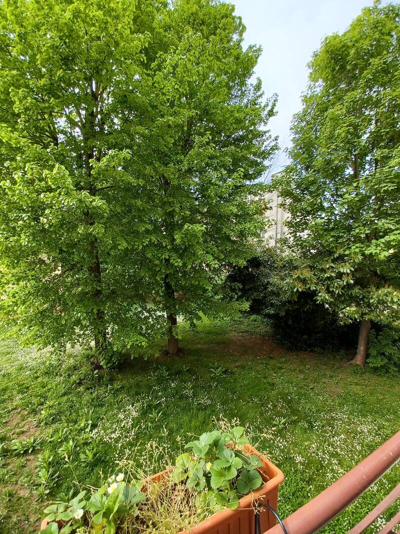 Montreuil (93100)
