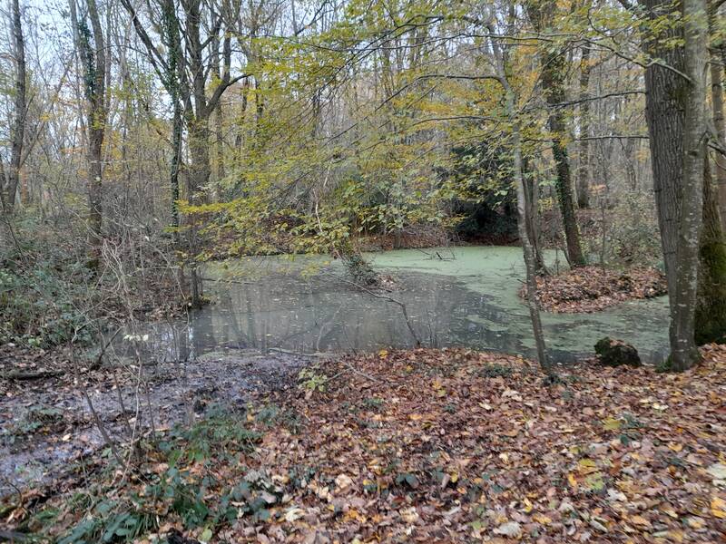 La Ferté-Sous-Jouarre (77260)