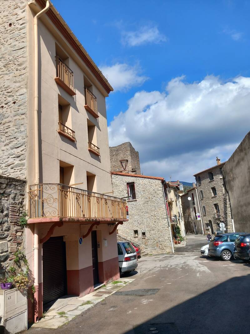 Arles-Sur-Tech (66150)