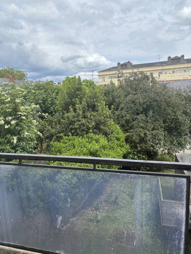 Angers (49000)