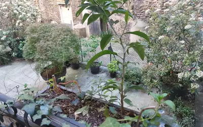 Paris 18E (75018)